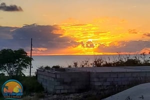 Long Island Bahamas: Guidet tur i en hel dag