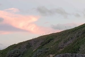 Long Island Bahamas: Guidet tur i en hel dag