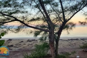 Long Island Bahamas: Guidet tur i en hel dag