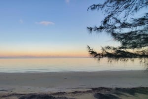 Long Island Bahamas: Guidet tur i en hel dag