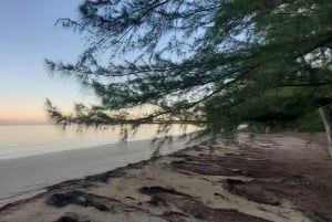 Long Island Bahamas: Guidet tur i en hel dag