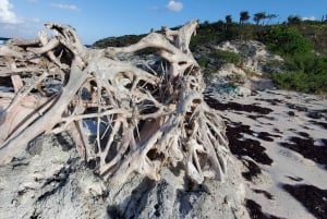 Long Island Bahamas: Guidet tur i en hel dag