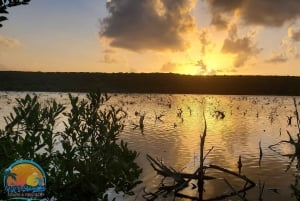 Long Island Bahamas: Guidet tur i en hel dag