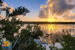 Long Island Bahamas: Guidet tur i en hel dag