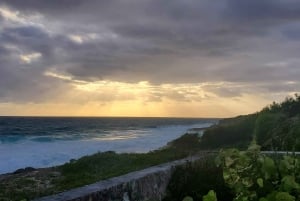 Long Island Bahamas: Guidet tur i en hel dag