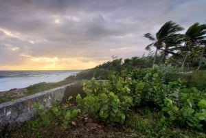 Long Island Bahamas: Guidet tur i en hel dag