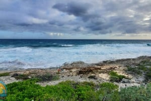 Long Island Bahamas: Guidet tur i en hel dag