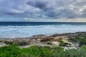 Long Island Bahamas: Guidet tur i en hel dag