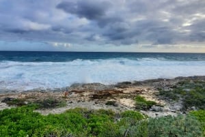 Long Island Bahamas: Guidet tur i en hel dag