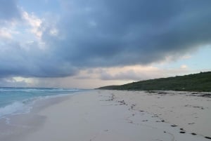 Long Island Bahamas: Guidet tur i en hel dag