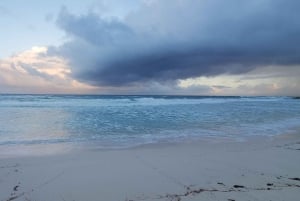 Long Island Bahamas: Guidet tur i en hel dag