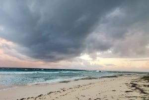 Long Island Bahamas: Guidet tur i en hel dag