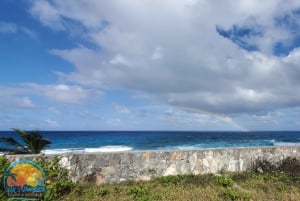 Long Island Bahamas: Guidet tur i en hel dag