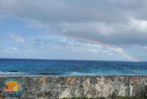 Long Island Bahamas: Guidet tur i en hel dag