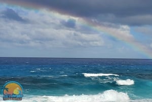 Long Island Bahamas: Guidet tur i en hel dag