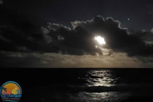 Long Island Bahamas: Guidet tur i en hel dag