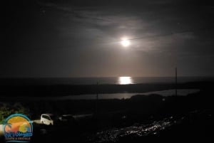 Long Island Bahamas: Guidet tur i en hel dag