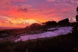 Long Island Bahamas: Guidet tur i en hel dag