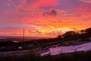 Long Island Bahamas: Guidet tur i en hel dag