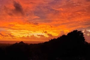 Long Island Bahamas: Guidet tur i en hel dag