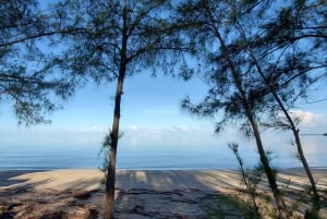 Long Island Bahamas: Guidet tur i en hel dag