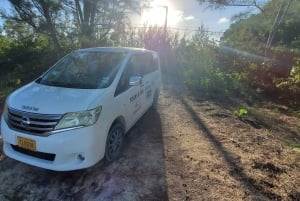 Long Island Bahamas: Guidet tur i en hel dag