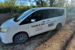 Long Island Bahamas: Guidet tur i en hel dag