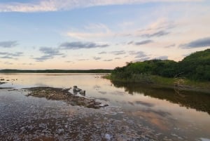 Long Island Bahamas: Guidet tur i en hel dag