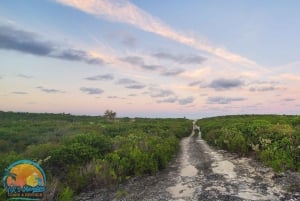Long Island Bahamas: Guidet tur i en hel dag