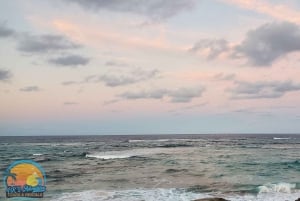 Long Island Bahamas: Guidet tur i en hel dag