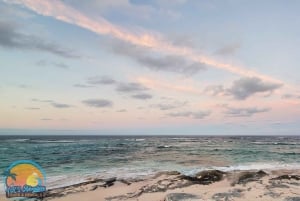 Long Island Bahamas: Guidet tur i en hel dag