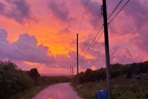 Long Island Bahamas: Guidet tur i en hel dag