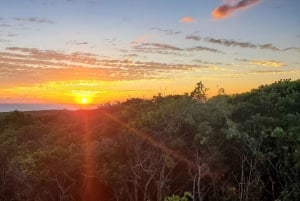 Long Island Bahamas: Guidet tur i en hel dag