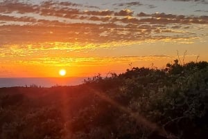 Long Island Bahamas: Guidet tur i en hel dag