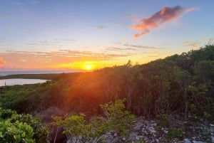 Long Island Bahamas: Guidet tur i en hel dag