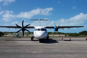 Long Island Bahamas: Guidet tur i en hel dag