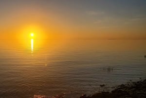 Long Island Bahamas: Guidet tur i en hel dag