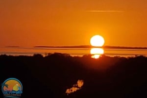 Long Island Bahamas: Guidet tur i en hel dag