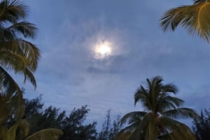 Long Island Bahamas: Guidet tur i en hel dag