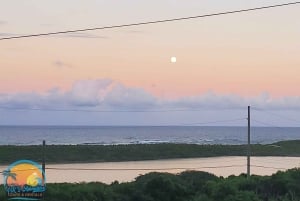 Long Island Bahamas: Guidet tur i en hel dag