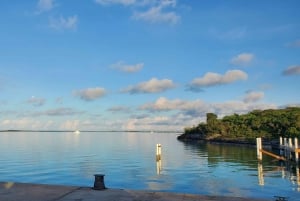 Long Island Bahamas: Guidet tur i en hel dag