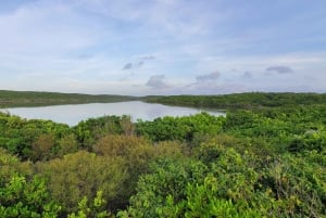 Long Island Bahamas: Guidet tur i en hel dag