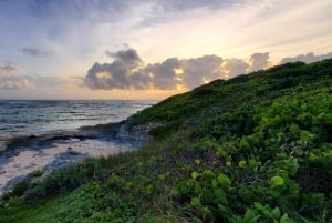 Long Island Bahamas: Guidet tur i en hel dag