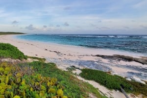 Long Island Bahamas: Guidet tur i en hel dag