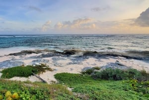 Long Island Bahamas: Guidet tur i en hel dag