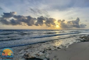 Long Island Bahamas: Guidet tur i en hel dag