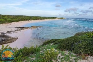 Long Island Bahamas: Guidet tur i en hel dag