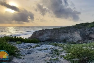 Long Island Bahamas: Guidet tur i en hel dag