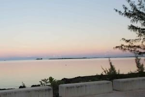 Long Island Bahamas: Guidet tur i en hel dag