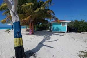 Long Island Bahamas: Guidet tur i en hel dag